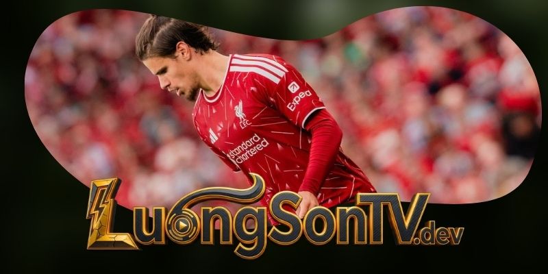 Tổng hợp dự đoán kèo Newcastle United vs Liverpool ngày 23/08 theo nhịp đôi công